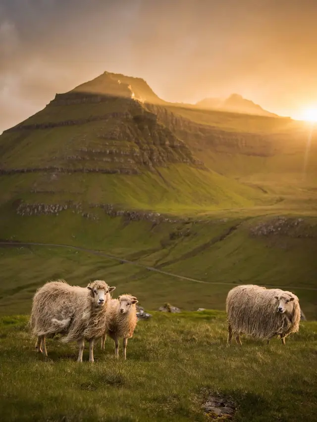 Faroe Island (sumber: instagram/visitfaroeislands)