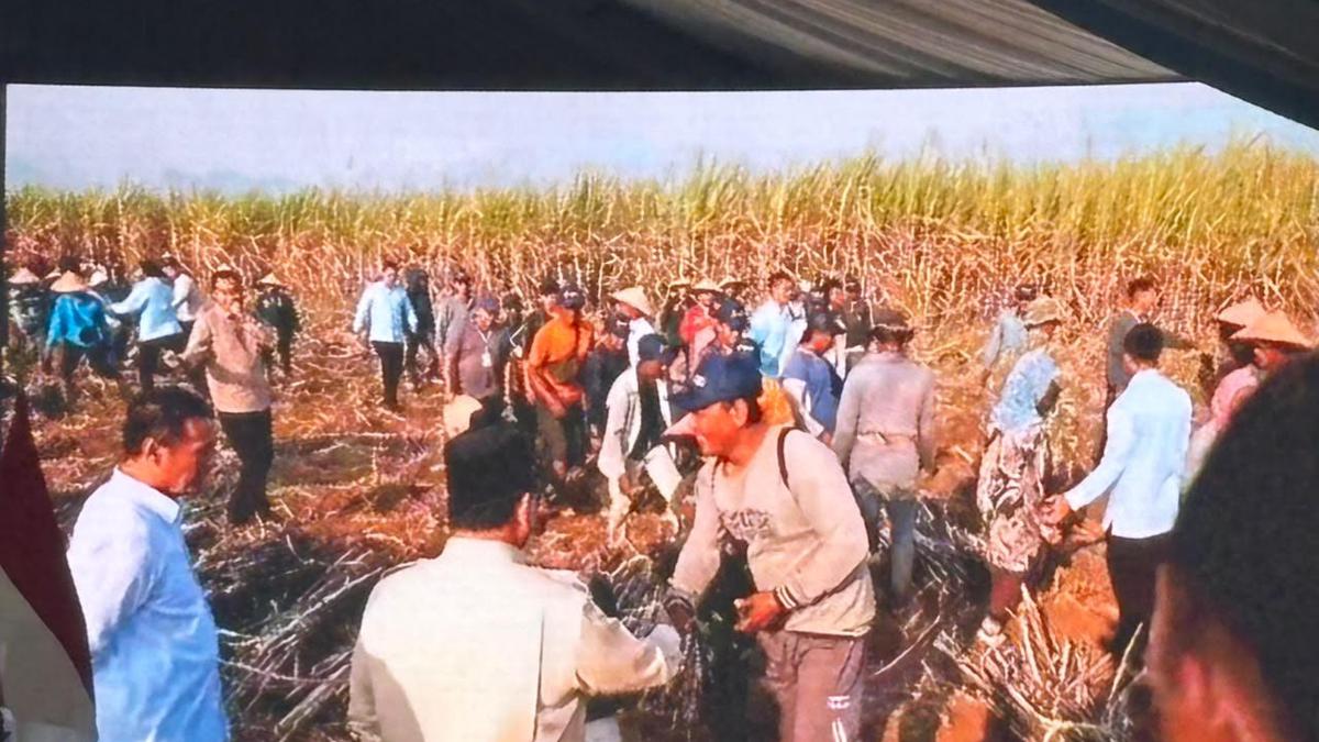 Momen Prabowo Berbincang dengan Petani Tebu Sebelum Panen Raya Malang