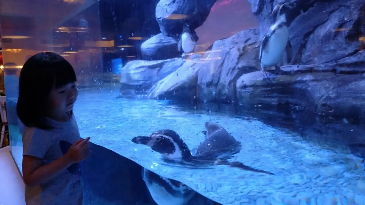 Jakarta Aquarium