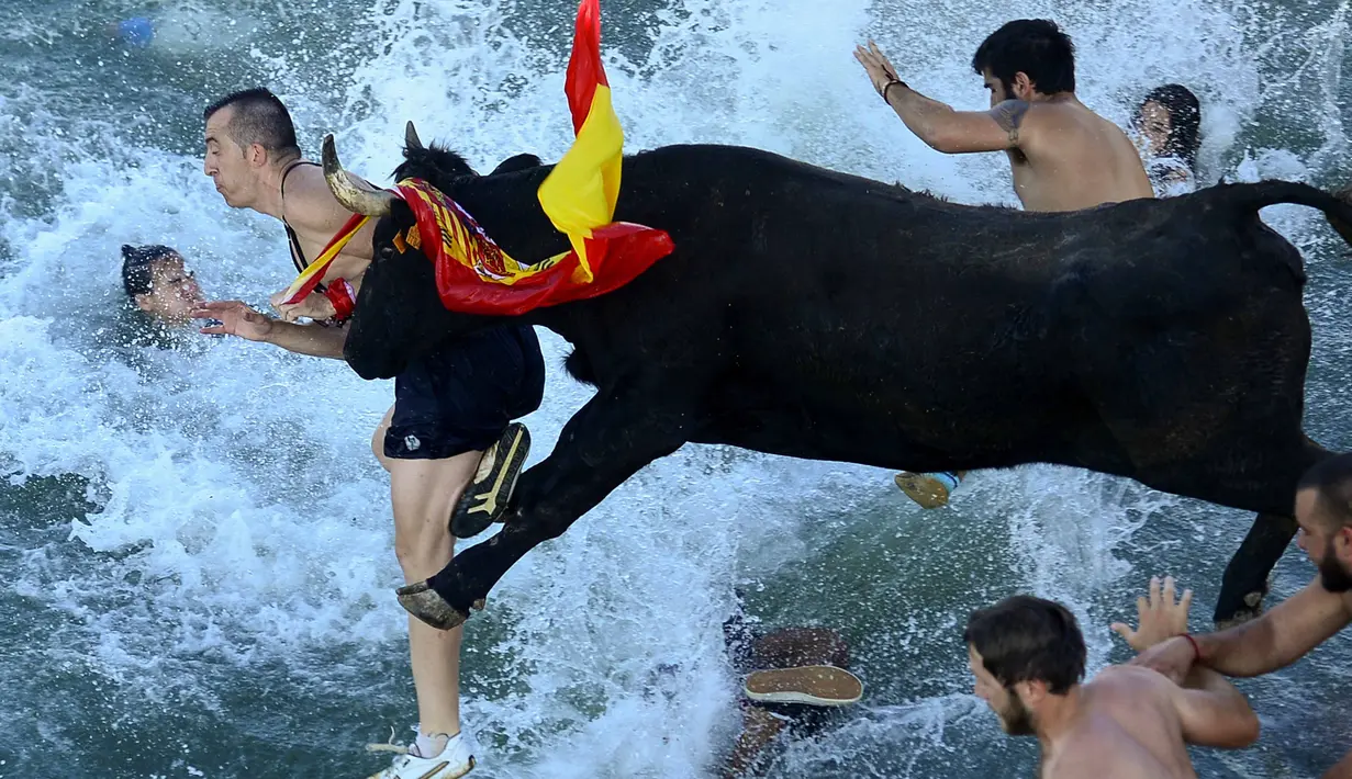 Aksi peserta yang terjun kelaut saat dikejar banteng pada festival tradisional Spanyol Bull Run atau  "Bous a la mar" (Bull in the sea) di  Pelabuhan Denia's dekat Alicante, (9/7/2016). (AFP/Jose Jordan)