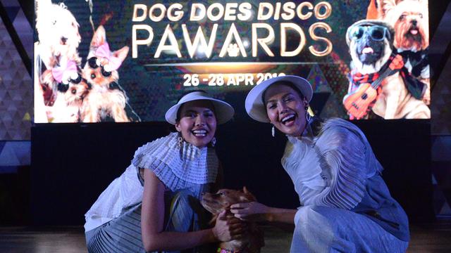 mall jakarta boleh bawa anjing