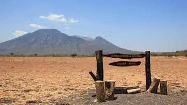 Kawasan padang Savana dan Gunung Baluran di kawasan Taman Nasional Baluran Situbondo (Istimewa)