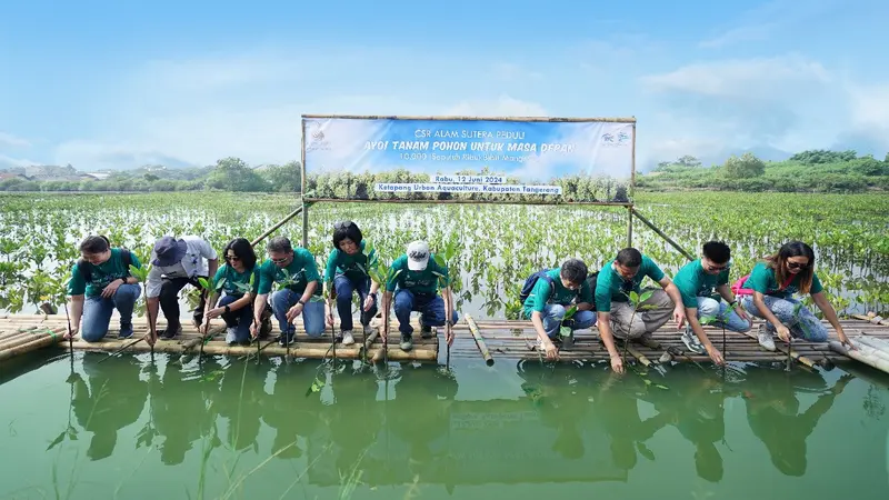Restorasi Fungsi Hutan Mangrove di Kabupaten Tangerang, Alam Sutera Group Tanam 10.000 Pohon