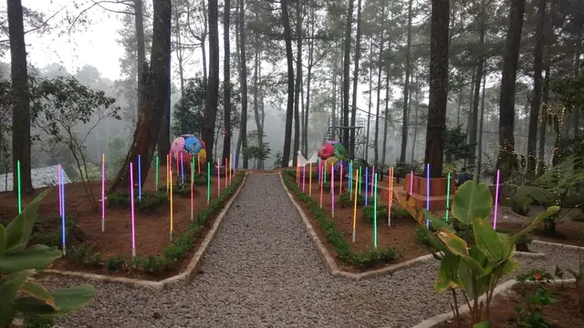 Orchid Forest Cikole