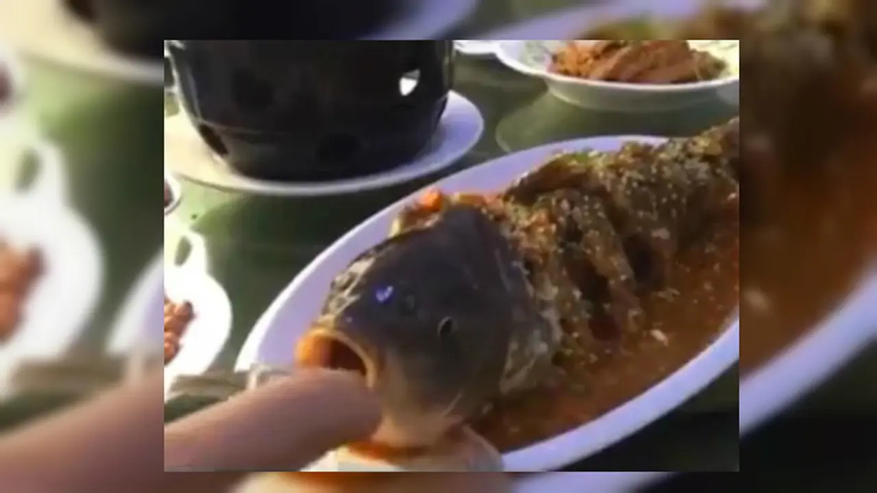 Ikan Kembali Bernafas Usai Digoreng dan Disiram Saus Asam Manis