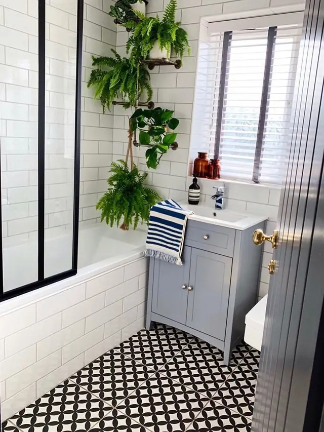 10 Tanaman Hias yang Cocok untuk Kamar Mandi, Bisa Menyerap Lembap