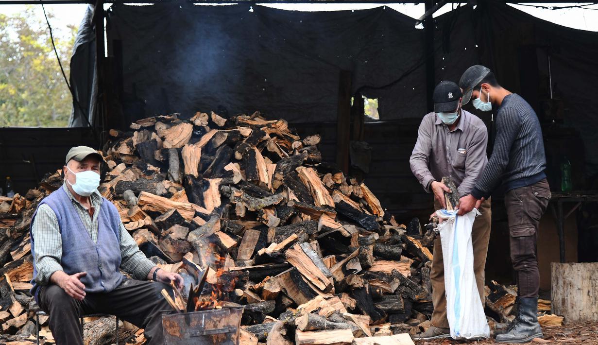 FOTO Warga Suriah Kumpulkan Kayu  Bakar  untuk Hadapi Cuaca 