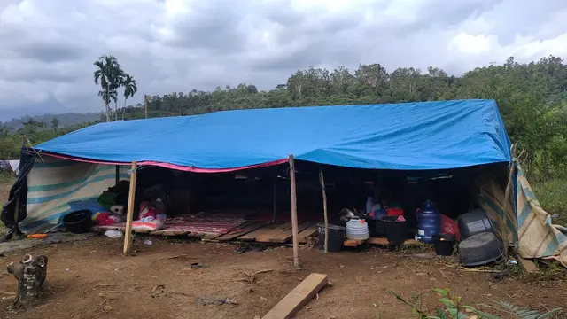 Korban terdampak gempa di Nagari Kajai mengungsi dan tinggal di tenda darurat. (Liputan6.com/ Novia Harlina)
