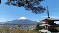 Gunung Fuji terlihat dari kuil Arakura Fuji Sengen di kota Fujiyoshida, prefektur Yamanashi, pada Kamis (22/4/2021). Prefektur Yamanashi terletak di sebelah barat Tokyo yang memiliki spot-spot wisata terkenal, salah satunya gunung tertinggi di Jepang, Gunung Fuji. (Behrouz MEHRI / AFP)