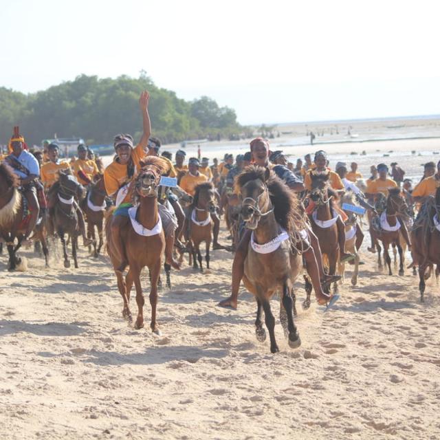 Cara Jitu Berdayakan Peternak Kuda Sandelwood Di Pulau Sumba