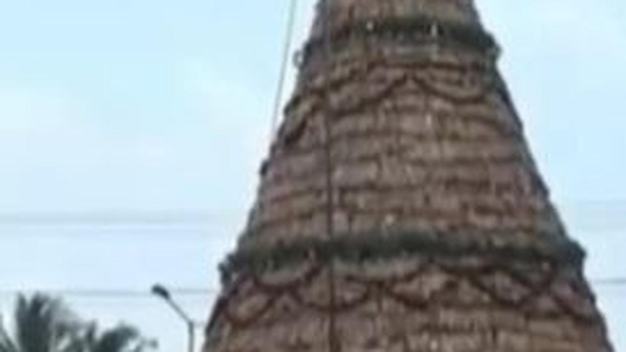 Unik! Pohon Natal di Semarang Dibuat dari Tanaman Eceng Gondong, Raih Rekor Muri
