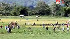 liputan6