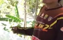 Dedi Mulyadi Melongo Mendengar Cerita Pria Ini, Berhasil Kuliahkan Anaknya dan Bekerja di Jepang Hasil dari Ternak Kambing