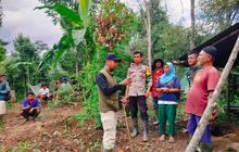 Tim BKSDA Lakukan Evakuasi Harimau Agam Setelah Warga Bertemu Satwa Liar di Kebun