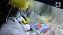 Doktor Tjandrawati Mozef menguji alat deteksi alternatif virus corona di Laboratorium Kimia LIPI Puspiptek Serpong, Tangerang Selatan, Rabu (26/8/2020).   Metode RT LAMP tersebut dapat menentukan Negatif atau Positif seorang pasien yang terpapar COVID-19. (merdeka.com/Arie Basuki)