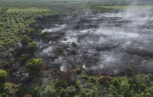 Manggala Agni Temukan Karhutla 7 Hektare di Rokan Hilir, Riau: Upaya Pemadaman Terus Dilakukan