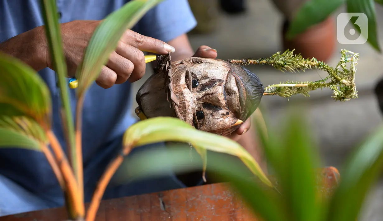 Seniman, Herman Ronda (49) mengukir bibit pohon kelapa yang dijadikan bonsai di Pondok Benda Pamulang, Tangerang Selatan, Selasa (13/10/2020). Budidaya bonsai tanaman kelapa semakin digemari untuk memanfaatkan waktu dengan harga mulai dari Rp 250 ribu hingga Rp 500 ribu. (merdeka.com/Dwi Narwoko)