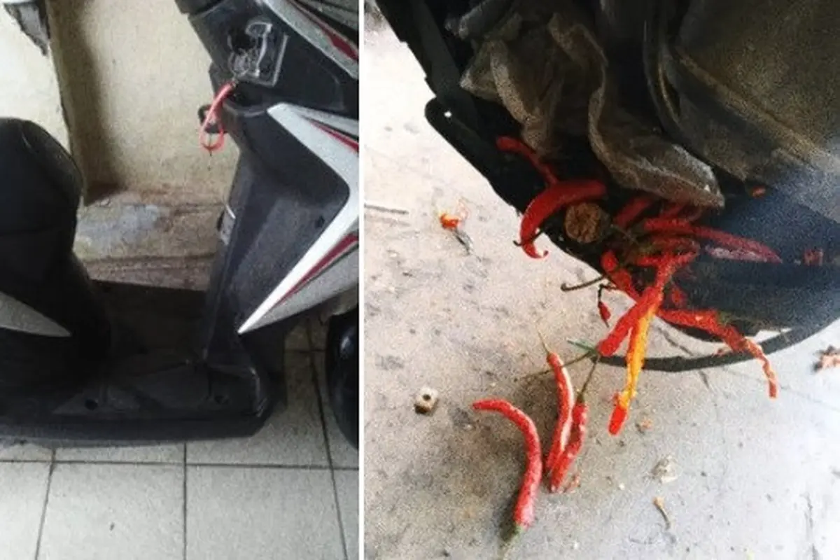 motor mogok karena ulah tikus