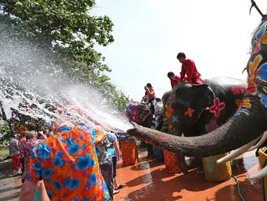 Sejumlah gajah menyemprotkan air kepada wisatawan saat perayaan tahun baru kuno Thailand atau Songkran di provinsi Ayutthaya, Thailand (11/4). Dalam perayaan ini peserta saling serang menggunakan air. (AP Photo/Sakchai Lalit)