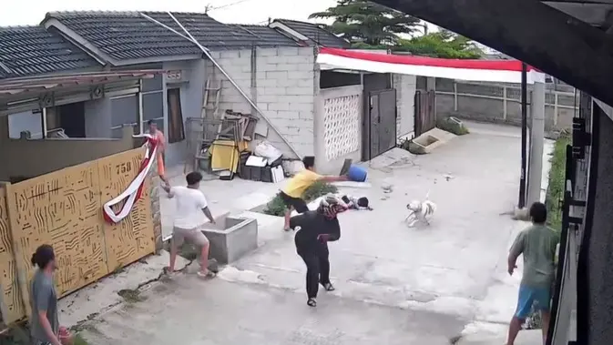 Anjing Pitbull Serang Bocah di Bandung, Terlepas Saat Dijemur