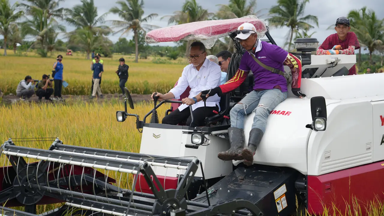 Menteri Koordinator (Menko) Bidang Pangan Zulkifli Hasan (Zulhas) saat melakukan Kick Off Panen Raya di Seri Menanti, Banyuasin, Sumatera Utara, Senin (13/1/2025).