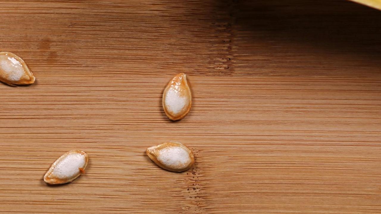 Waluh, atau labu kuning, adalah salah satu jenis labu yang sering digunakan dalam berbagai masakan. Dikenal dengan rasa manis dan teksturnya yang lembut, waluh menjadi bahan baku yang populer dalam membuat olahan makanan yang lezat dan bergizi. Dari sup h