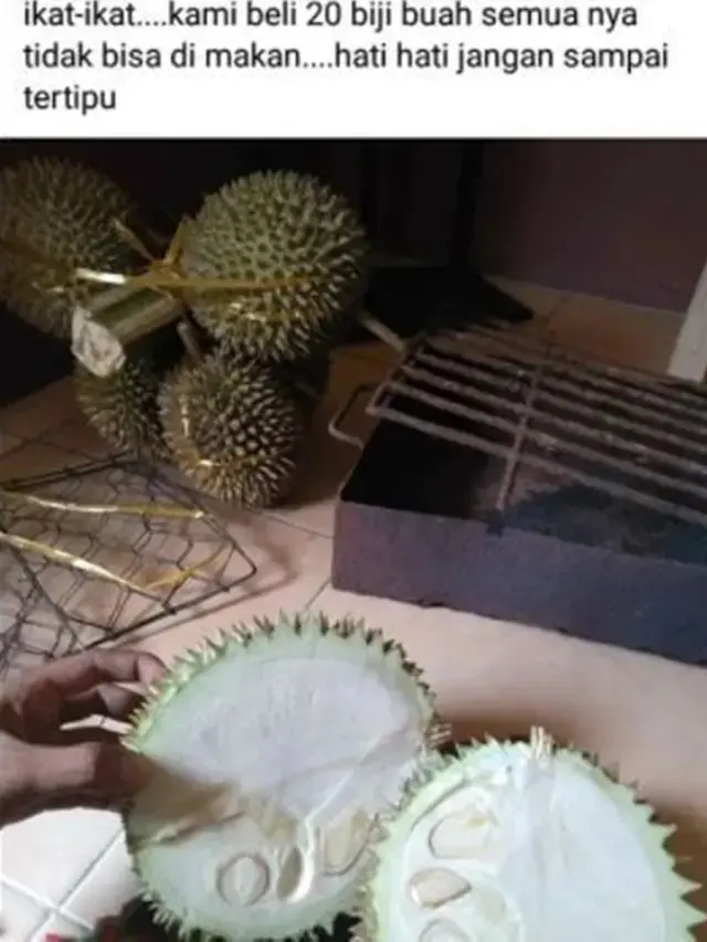 6 Potret Durian Enggak Ada Isinya Ini Apes Banget,
