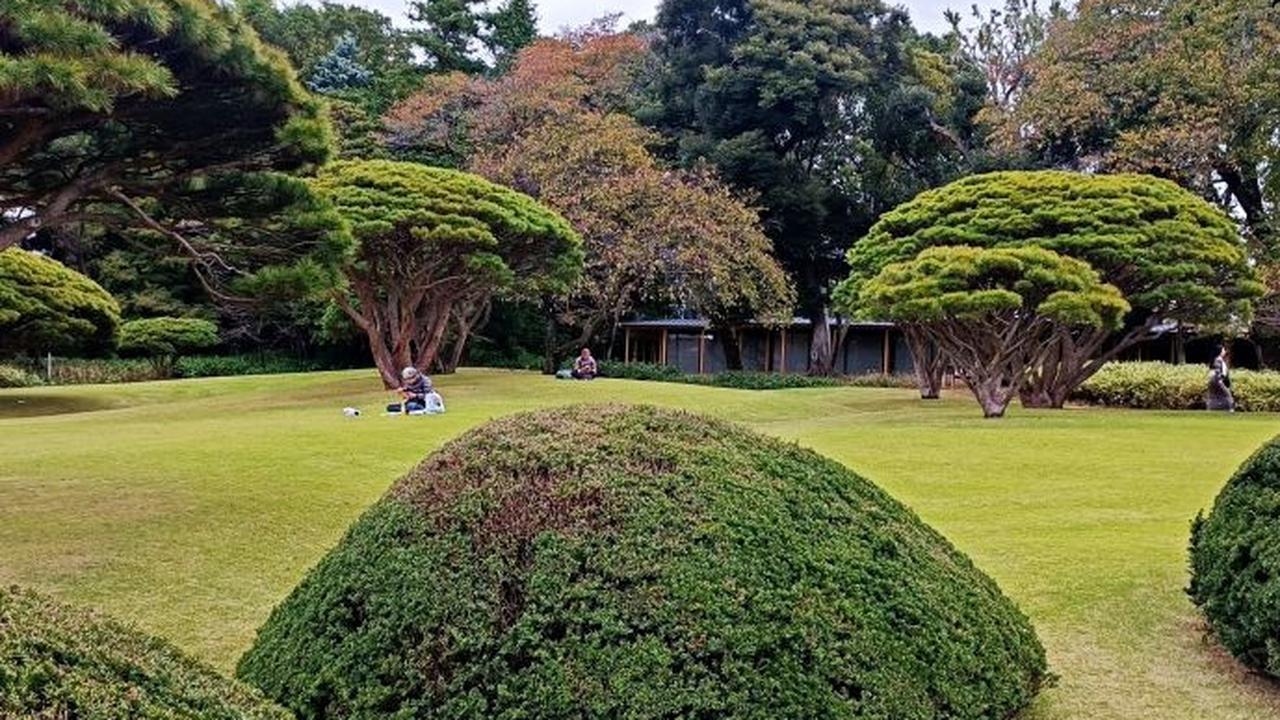 5. Keindahan Shinjuku Gyoen di musim panas terpilih sebagai lokasi utama di film animasi Makoto Shinkai, <i>Garden of Words.</i>