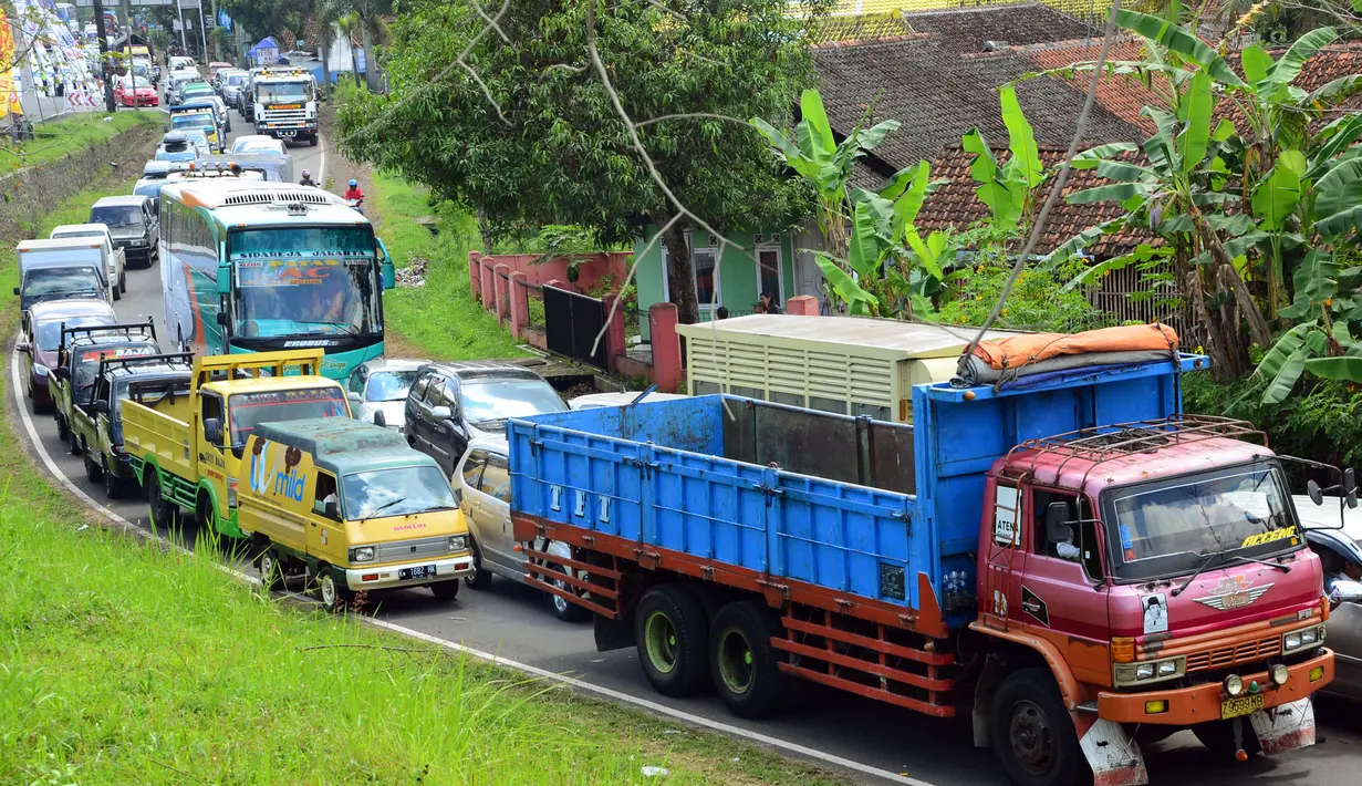 Antrean kendaraan pemudik memadati Jalan Layang Simpang Rajapolah, Tasikmalaya, Jawa Barat, Kamis (24/7/14). (ANTARA FOTO/Adeng Bustomi)