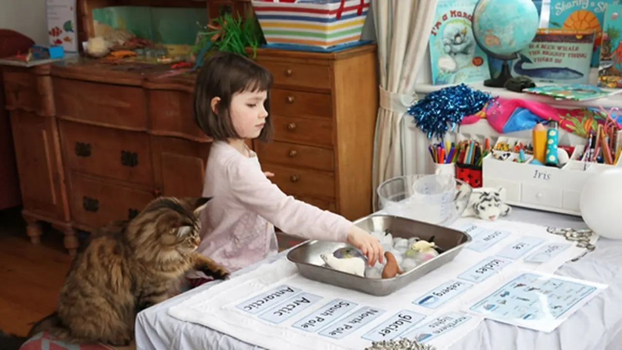 Foto: copyright boredpanda.com