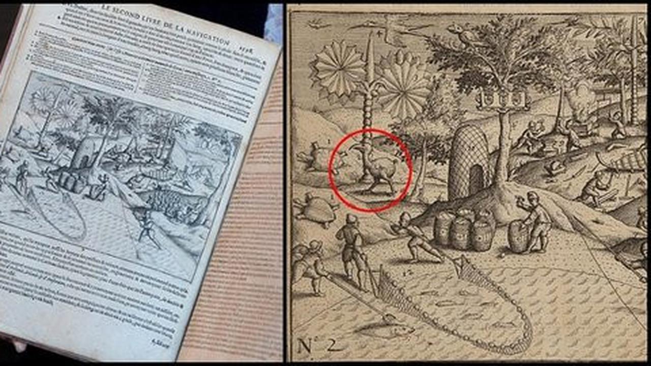 Jadi 'saksi' pertama burung Dodo, buku 400 tahun laku Rp 250 juta