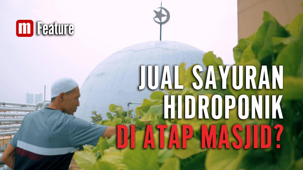 VIDEO: Sayuran Hidroponik dari Atap Masjid