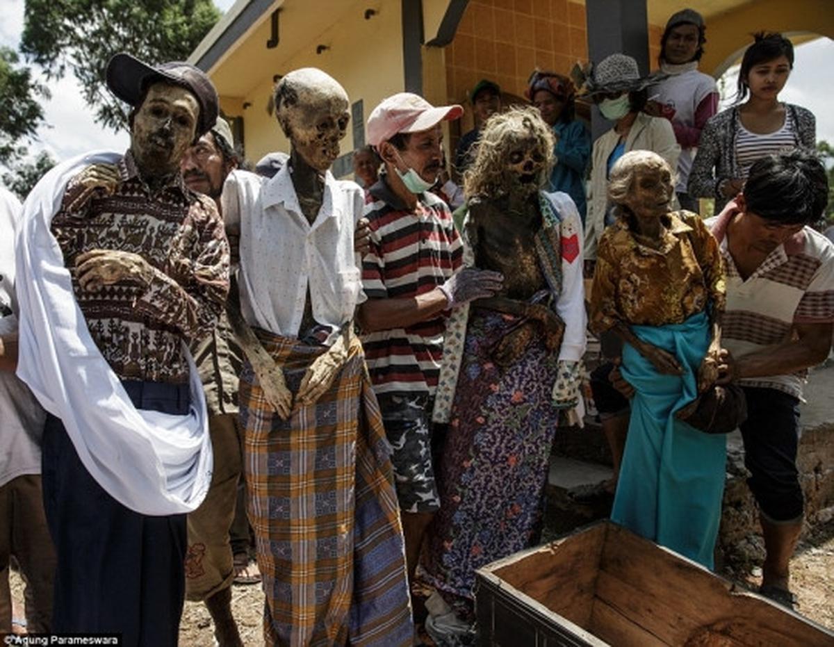 Menengok seramnya ritual tiga tahunan masyarakat Tana Toraja