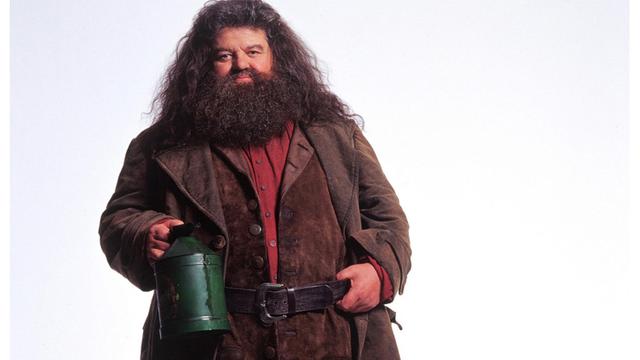 Sosok Robbie Coltrane, Pemeran Hagrid di Harry Potter yang Meninggal di ...