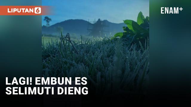 Dieng Diselimuti Embun Es untuk Kali Keempat di Tahun 2022