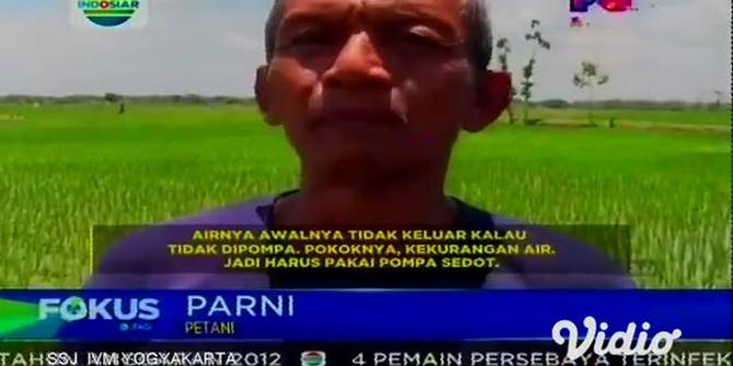 VIDEO: Petani Terancam Gagal Panen Akibat Debit Air Waduk Dawuhan Menyusut