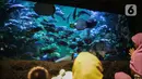 Pengunjung menyaksikan Sinterklas bersama para kurcaci memberi makan ikan di Sharkquarium arena Sea World Ancol, Jakarta, Rabu  (25/12/2019). Sea World Ancol menampilkan atraksi penyelam Scuba Santa pada perayaan Natal 2019. (Liputan6.com/Faizal Fanani)