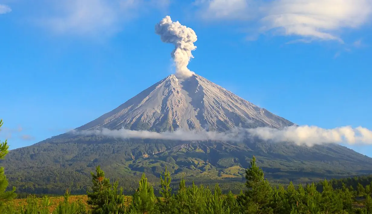 Gunung Semeru merupakan gunung tertinggi di Pulau Jawa, dengan puncaknya Mahameru, 3.676 meter dari permukaan laut (mdpl). Gunung Semeru terletak di Kabupaten Malang dan Kabupaten Lumajang, di Jawa Timur kini berstatus waspada. (Istimewa)