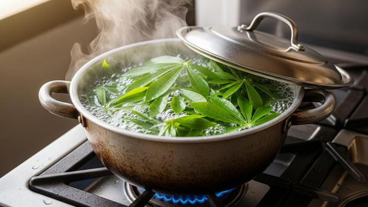 7 Trik Masak Daun Singkong agar Tetap Hijau Saat Direbus, Tidak Hitam dan Tetap Lezat