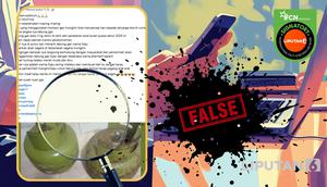 Penelusuran  layar klaim tabung Elpiji hijau 3 Kg ditarik dari peredaran awal puasa 2026.