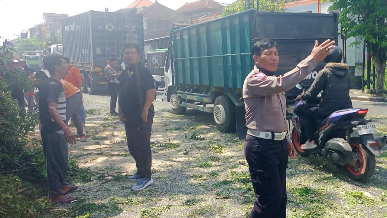 Nahas! Pohon Tumbang Disenggol Truk, Pemotor di Tabanan Jadi Korban
