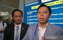 DPD RI Tegaskan Upaya Indonesia Atasi Perubahan Iklim di COP30, Dorong Legislasi Lingkungan