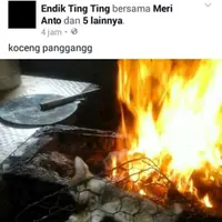Kucing Dipanggang, Pecinta Hewan Meradang | via: facebook.com