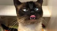 foto: Reddit
