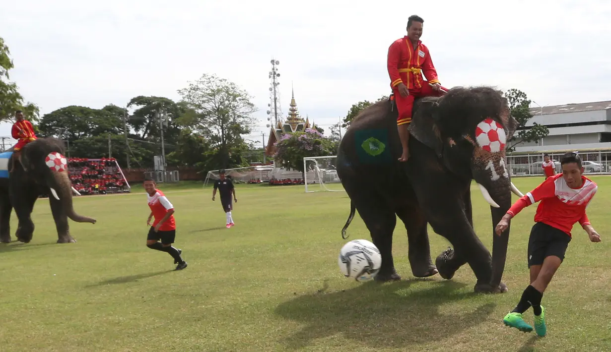 Siswa Ayutthaya Wittayalai School menendang bola selama pertandingan melawan gajah di Provinsi Ayutthaya, Thailand, Selasa (12/6). Acara ini juga sebagai kampanye mengurangi maraknya judi  selama kompetisi Piala Dunia berlangsung. (AP Photo/Sakchai Lalit)