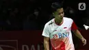 Pebulu tangkis tunggal putra Indonesia, Anthony Sinisuka Ginting saat bertanding melawan Lee Zii Jia (Malaysia) pada Perempat Final Indonesia Masters 2022 di Istora Senayan, Jakarta, Jumat (10/6/2022). Anthony Sinisuka Ginting unggul dan melaju ke babak berikutnya. (Liputan6.com/Helmi Fithriansyah)