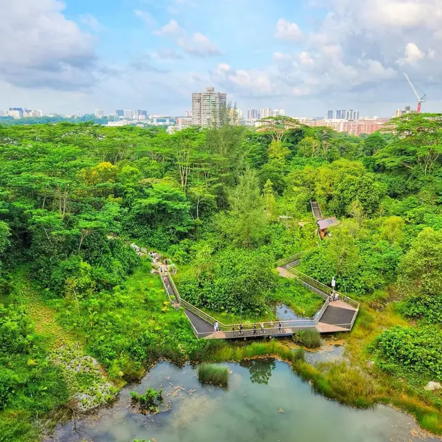 Kawasan wisata Bukit Timah di Singapura