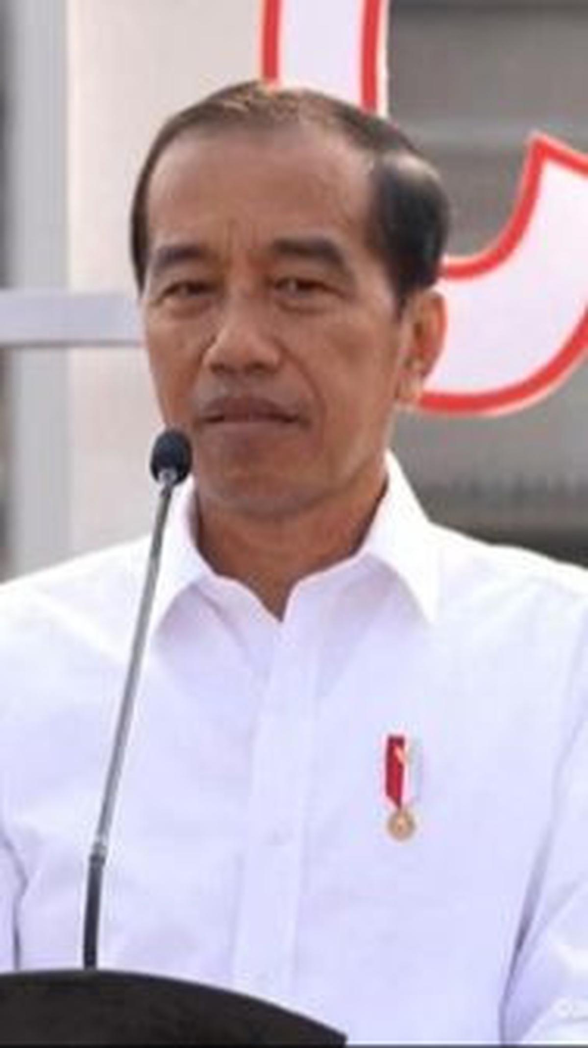 "Berbeda delik biasa, kalau delik biasa orang lain boleh melapor selama dia mengetahui, melihat, atau mengalami adanya dugaan tindak pidana. Tapi kalau delik aduan itu harus korbannya yang melapor. Nah dalam hal ini pak Presiden Jokowi yang harus mela