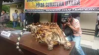 Kulit Harimau (Liputan6.com/Reza Perdana)