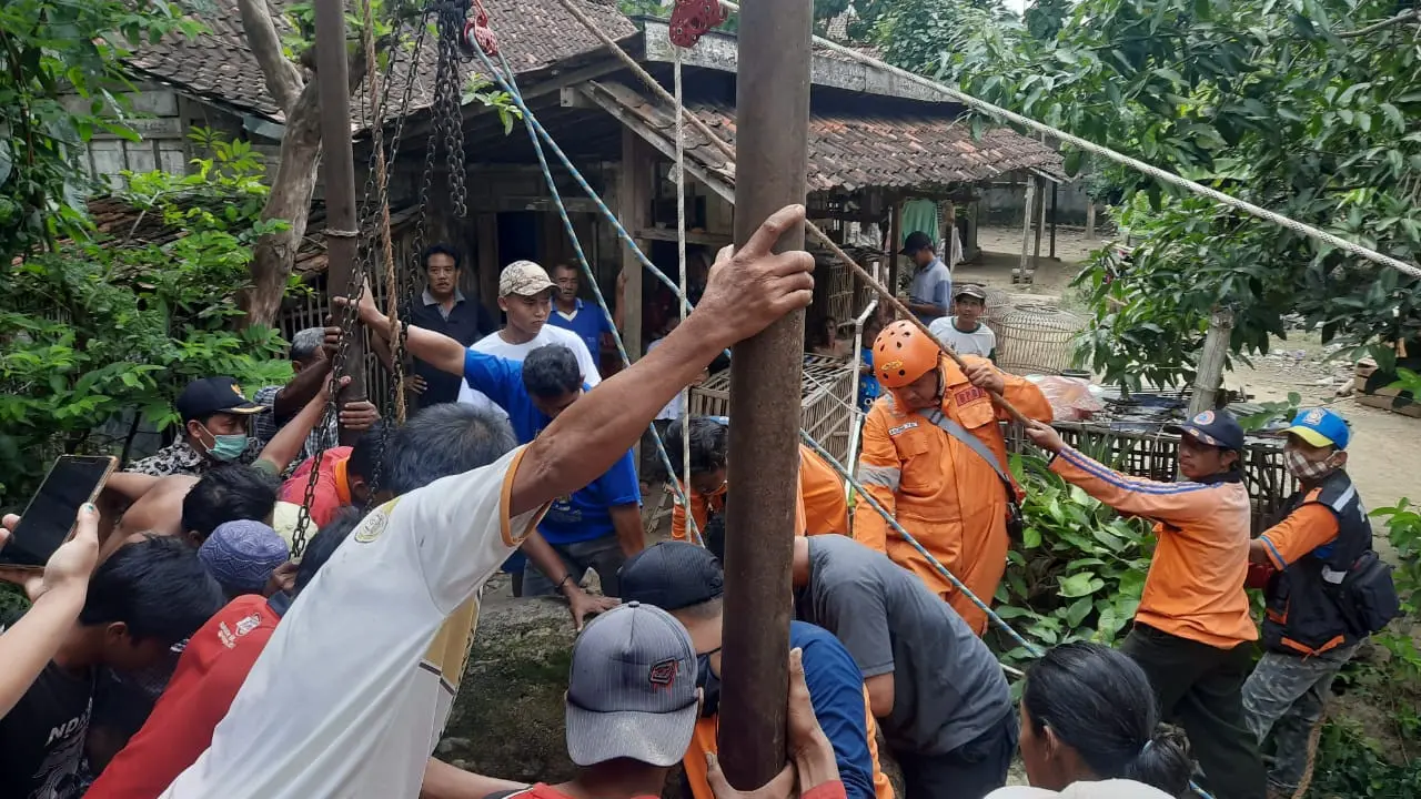 Sapi masuk Sumur